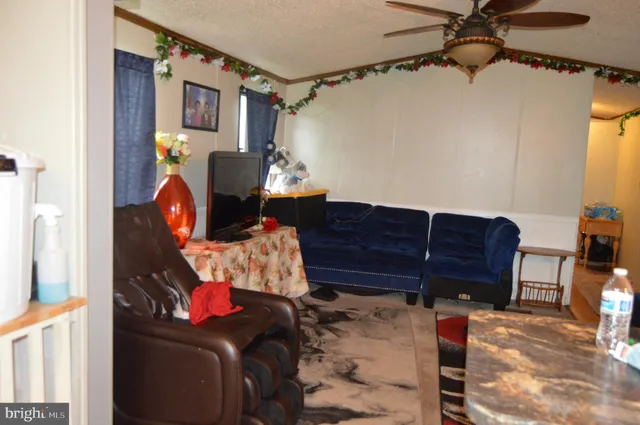 a living room with furniture and a lamp