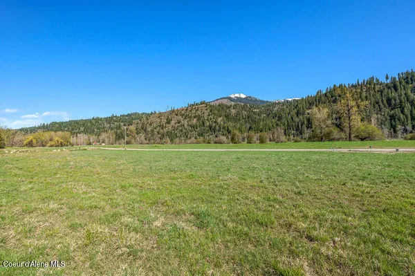 $160,000 | 29 Horn Hooked Ln Street, St. Maries, ID 83861