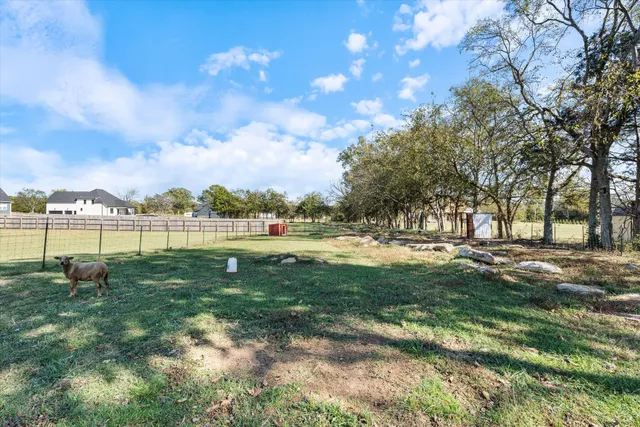a view of a field with an ocean