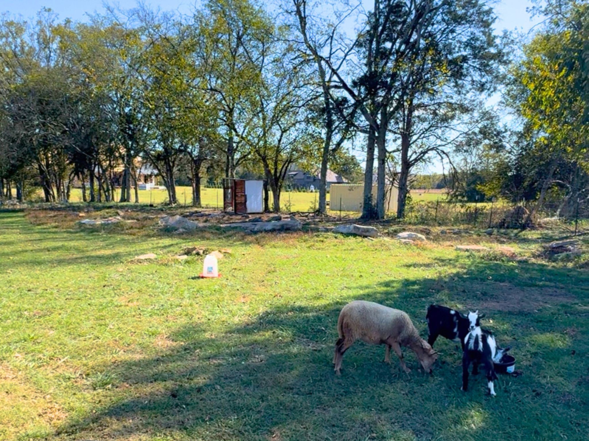 2070 Hamilton Chambers Road Lebanon, TN 37087 - Photo 4 of 43 a view of an swimming pool and trees in the background