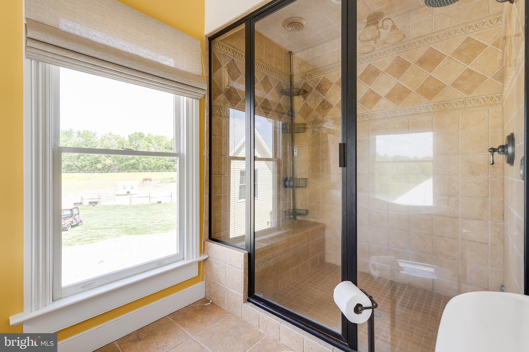 2379 Pendleton Road Mineral, VA 23117 - Photo 25 of 55 Luxurious walk-in steamer shower