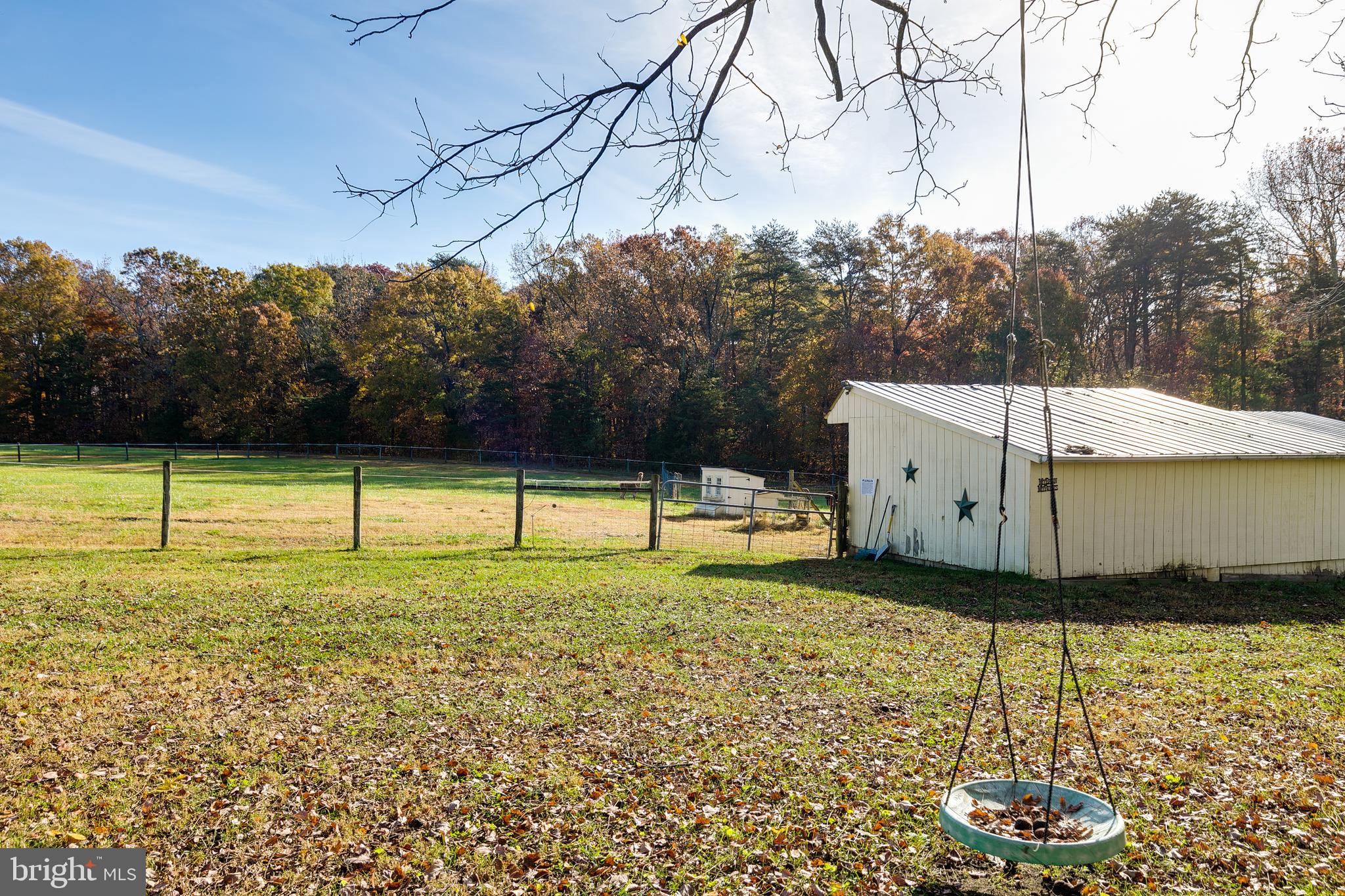 2379 Pendleton Road Mineral, VA 23117 - Photo 48 of 55 a backyard of a house with lots of green space