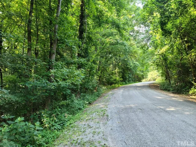 a view of a big yard with plants and large trees