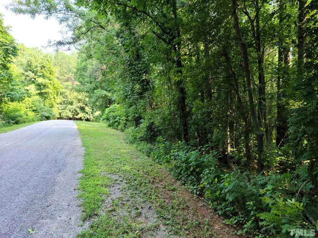 a view of a yard with plants