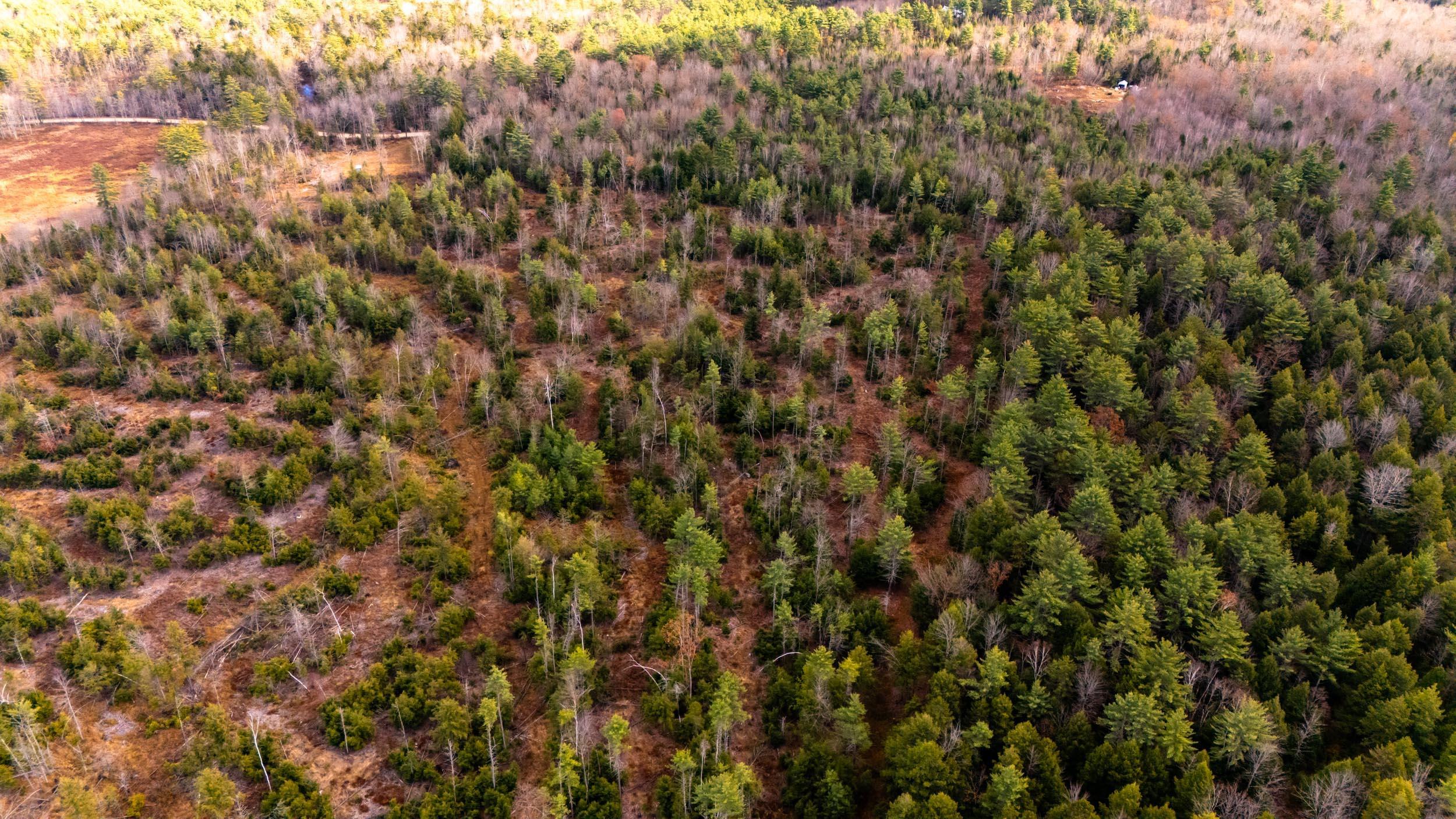 0 Leighton Corner Road Sanbornville, NH 03872 - Photo 7 of 12