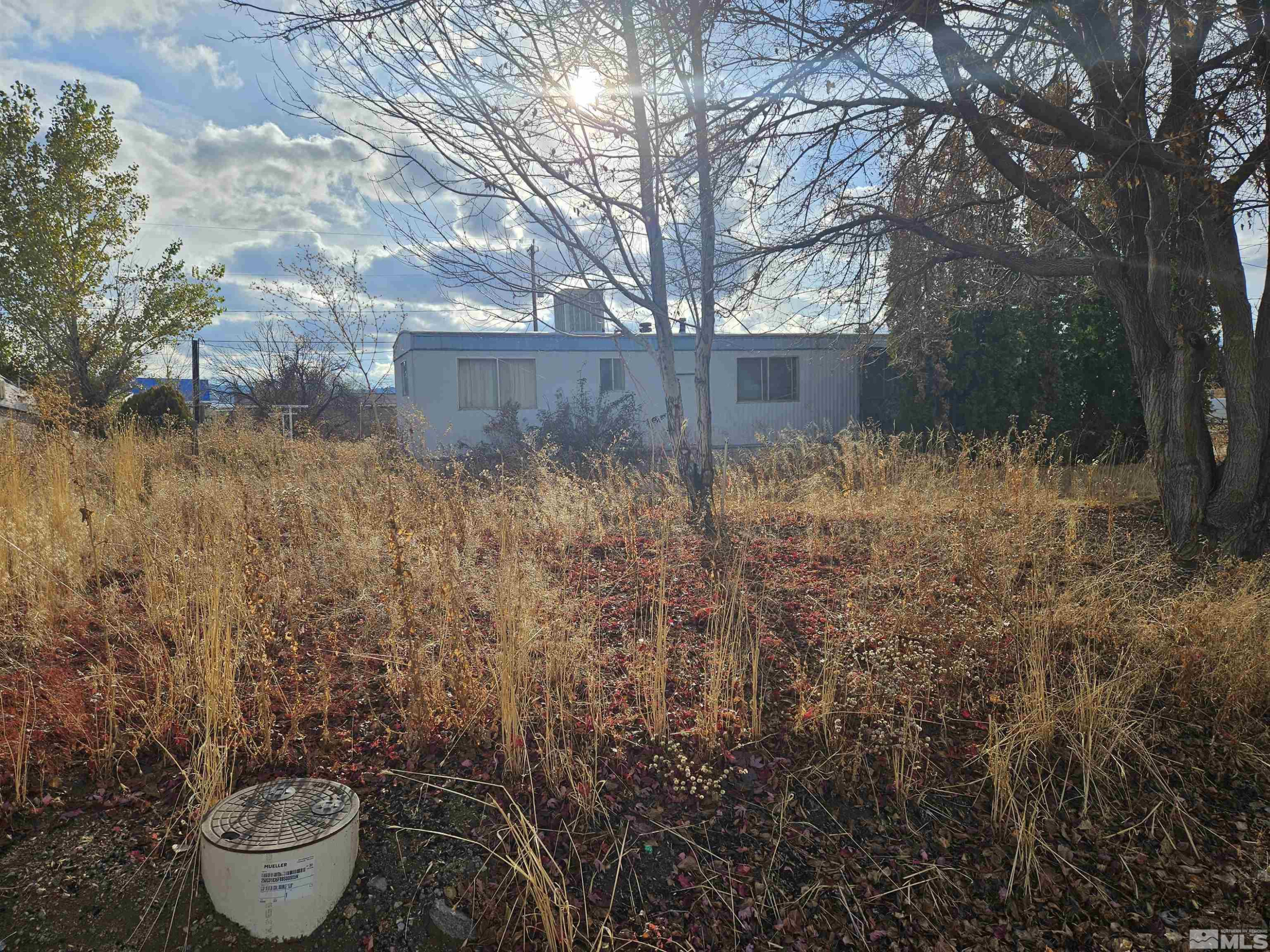 3765 Hummingbird Drive Reno, NV 89508 - Photo 13 of 13 a view of a backyard with large trees and wooden fence