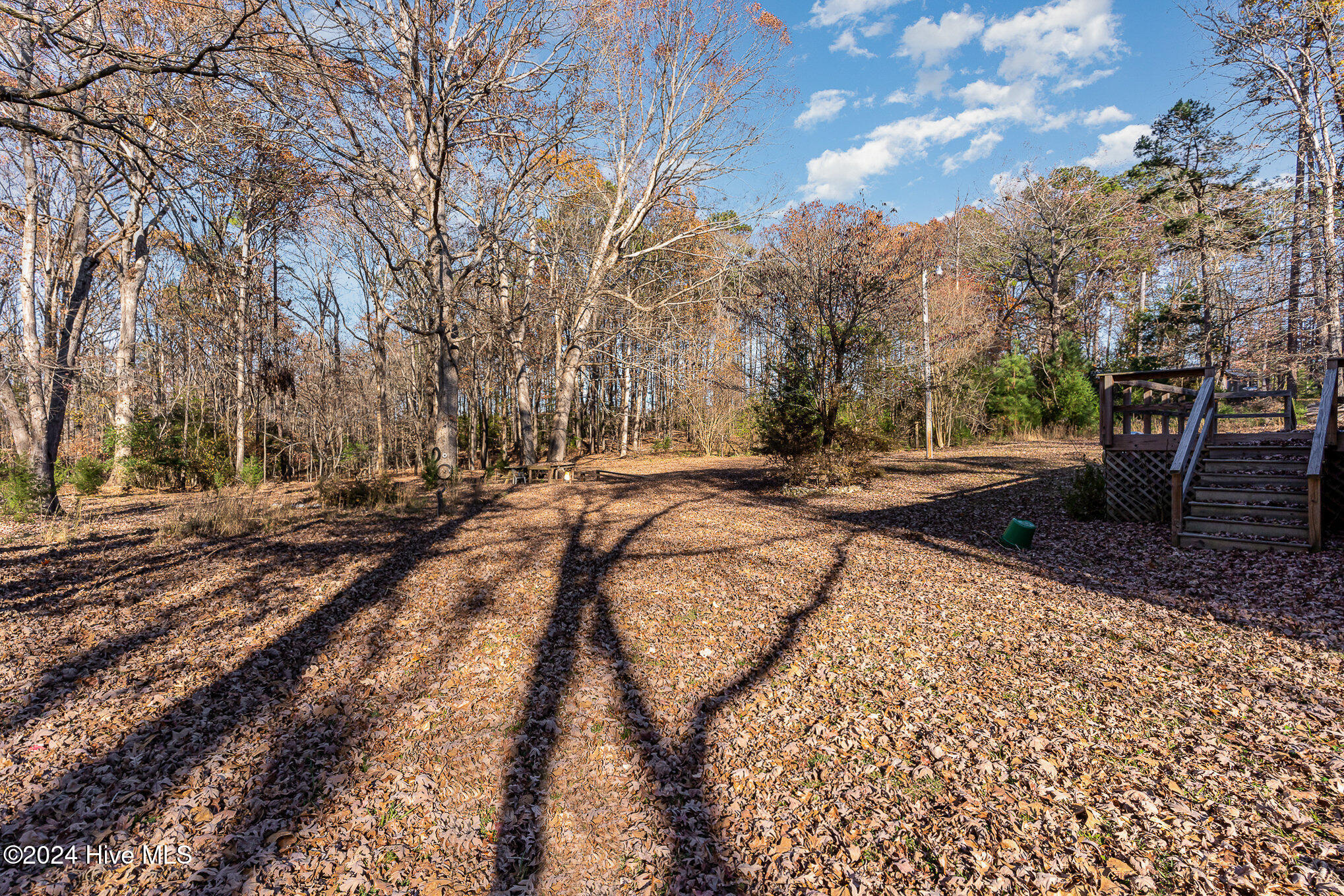 460 Torchwood Road Carthage, NC 28327 - Photo 22 of 23 022_dsc00017-edit_648