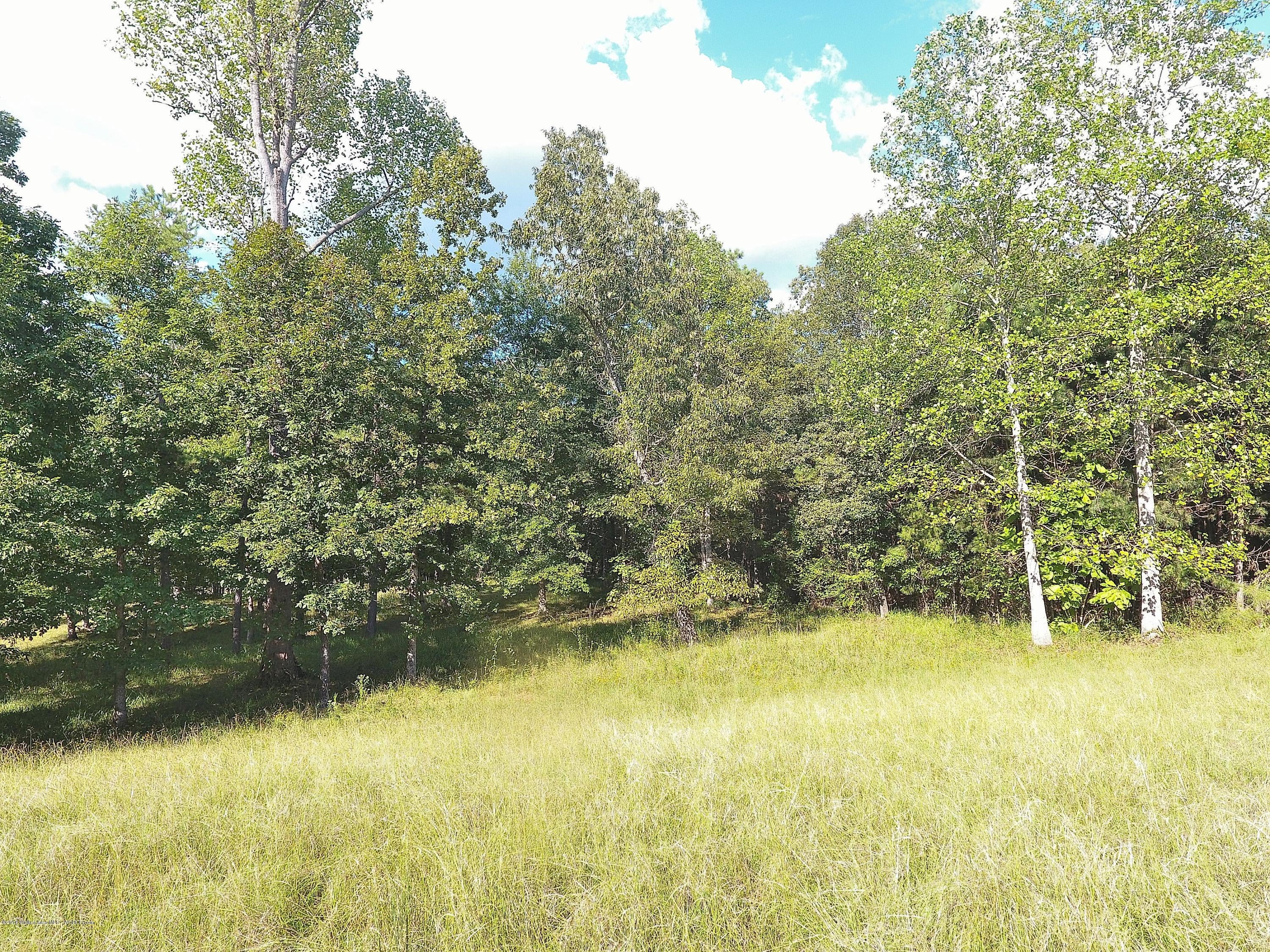 Lot 96 Stoney Pointe Road Double Springs, AL 35553 - Photo 7 of 7 Gallery Image 7