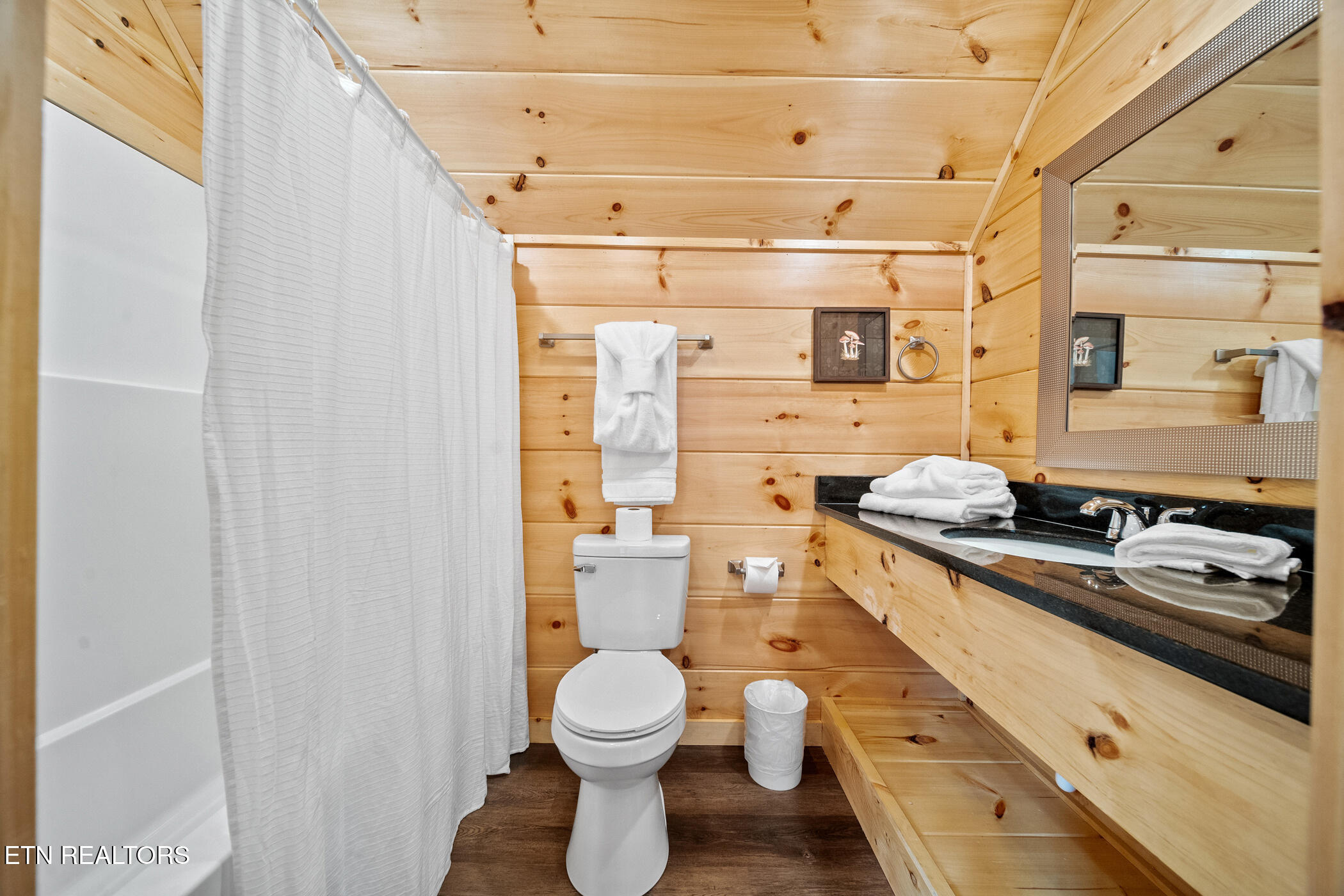 808 String Run Way Pigeon Forge, TN 37863 - Photo 26 of 57 dsc03267