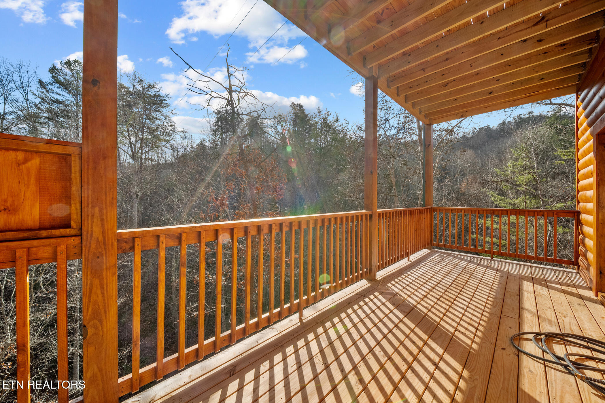 808 String Run Way Pigeon Forge, TN 37863 - Photo 38 of 57 dsc03327