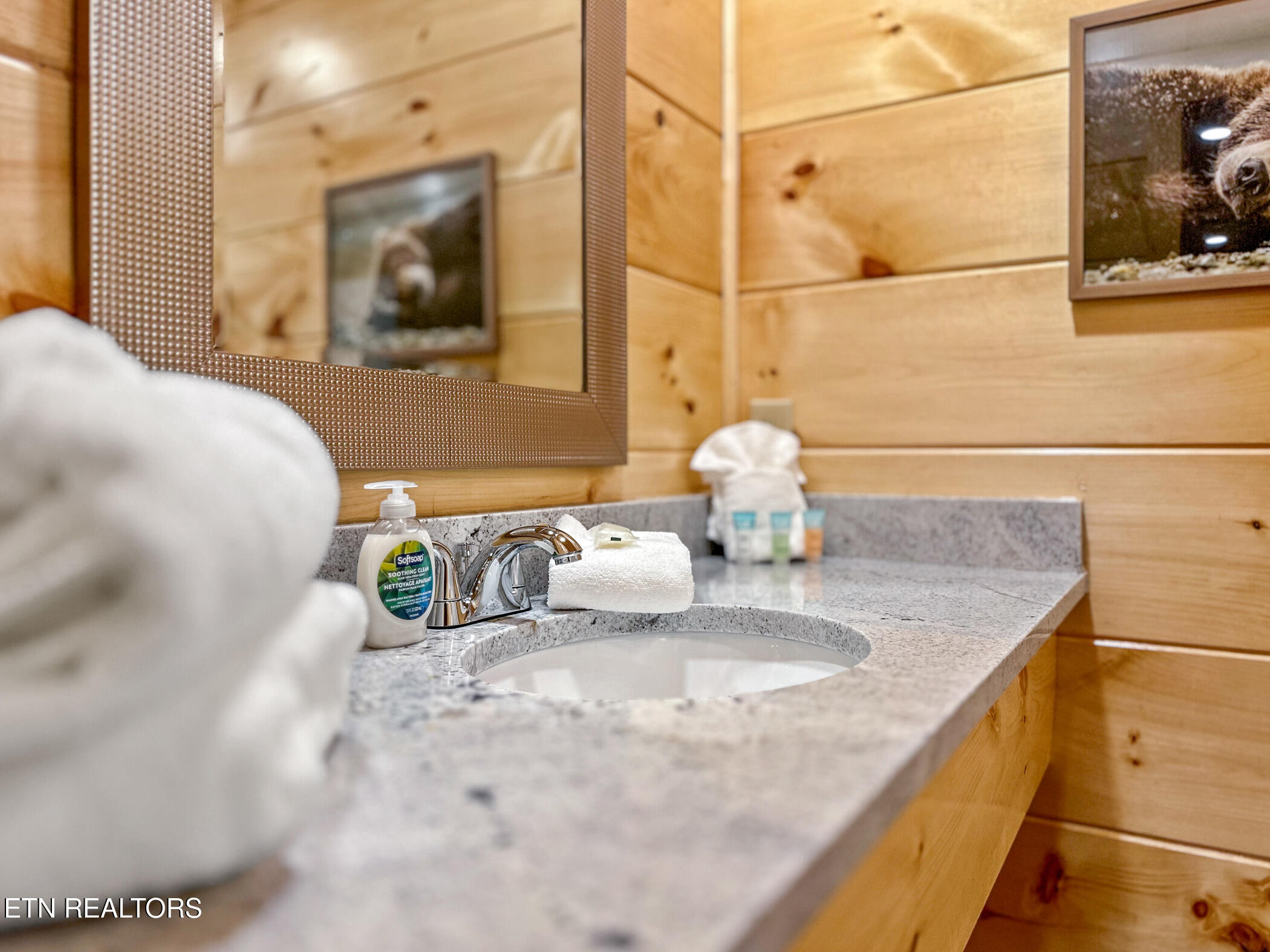 808 String Run Way Pigeon Forge, TN 37863 - Photo 45 of 57 img_3825