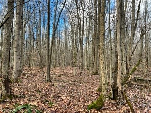 1291 Old Kyle Road Dorset, OH 44032 - Photo 1 of 21