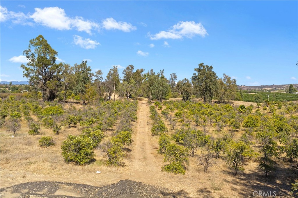 0 Glen Oaks Road Temecula, CA 92592 - Photo 10 of 22 Gallery Image 10