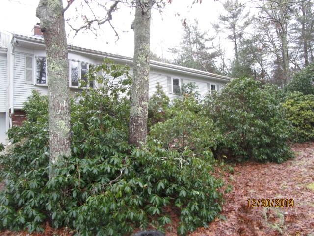 a view of a house with a tree