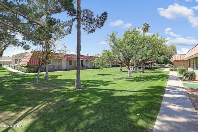 a view of a park with large trees