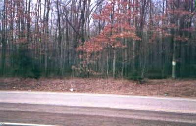 Long Lake Road, Unit PARCE Orleans, MI 48865 - Photo 1 of 1 Primary Photo