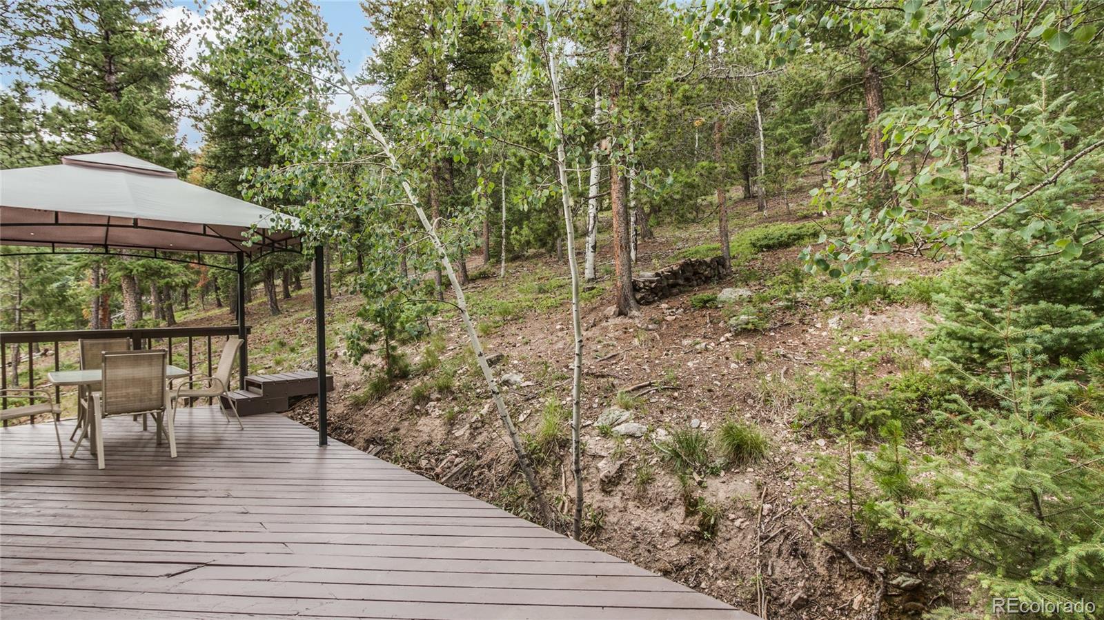 31864 Snowshoe Road Evergreen, CO 80439 - Photo 22 of 35 Gallery Image 22