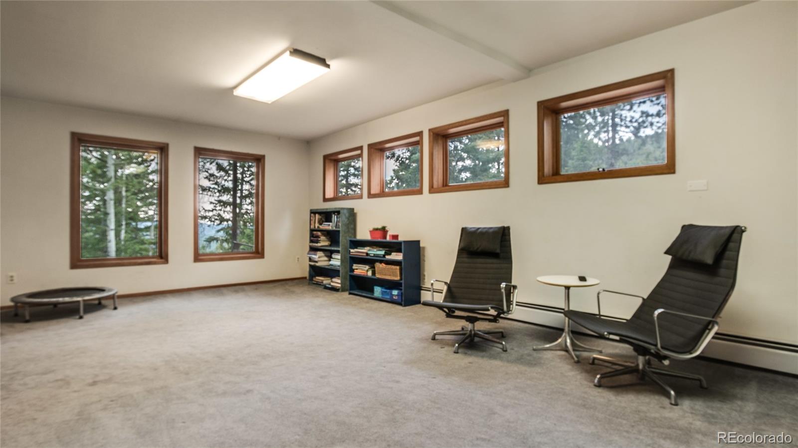 31864 Snowshoe Road Evergreen, CO 80439 - Photo 34 of 35 Gallery Image 34