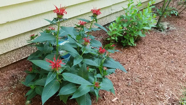 $750,000 | 490 Meredith Center Road, Laconia, NH 03246