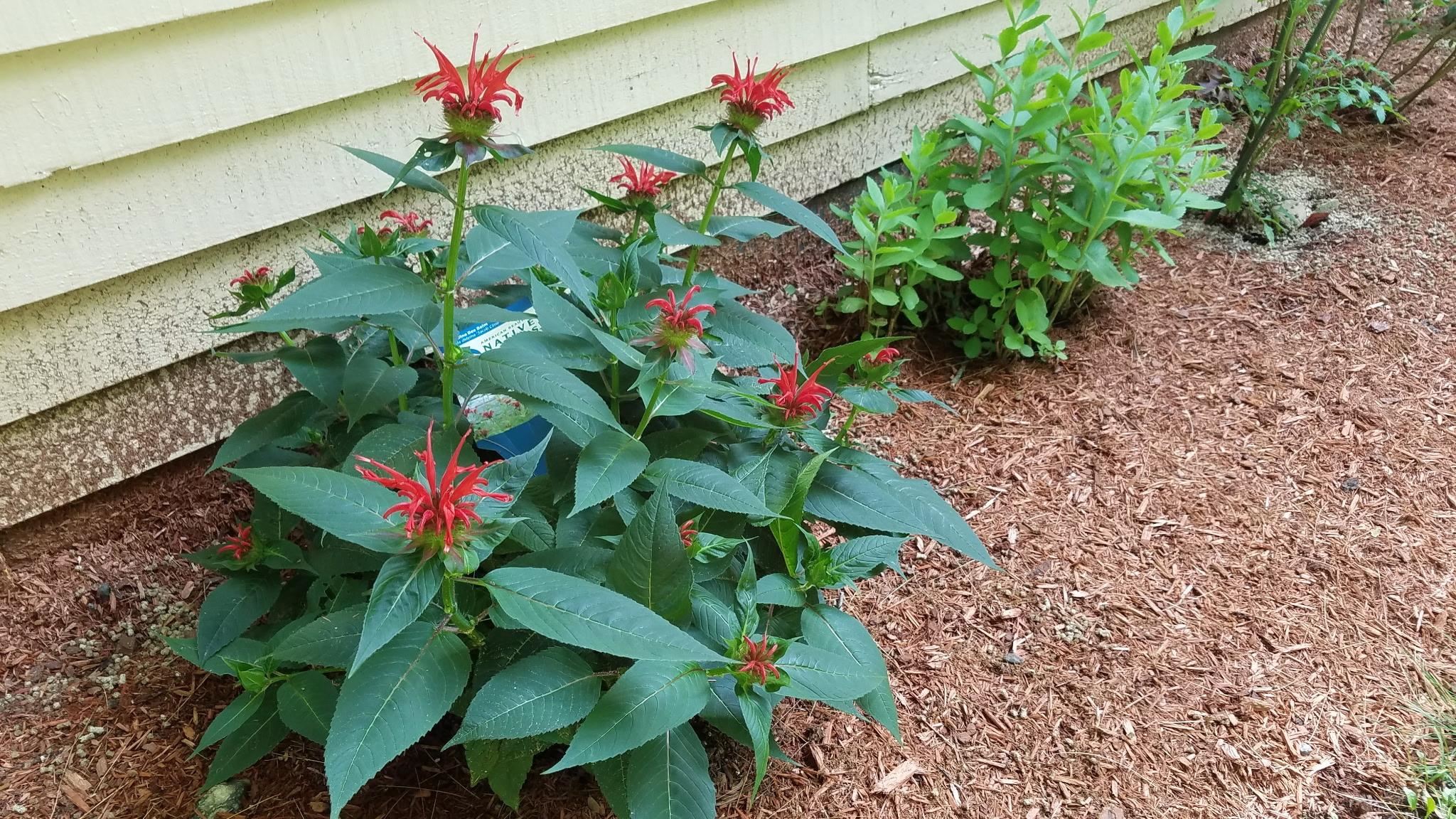 490 Meredith Center Road Laconia, NH 03246 - Photo 43 of 44