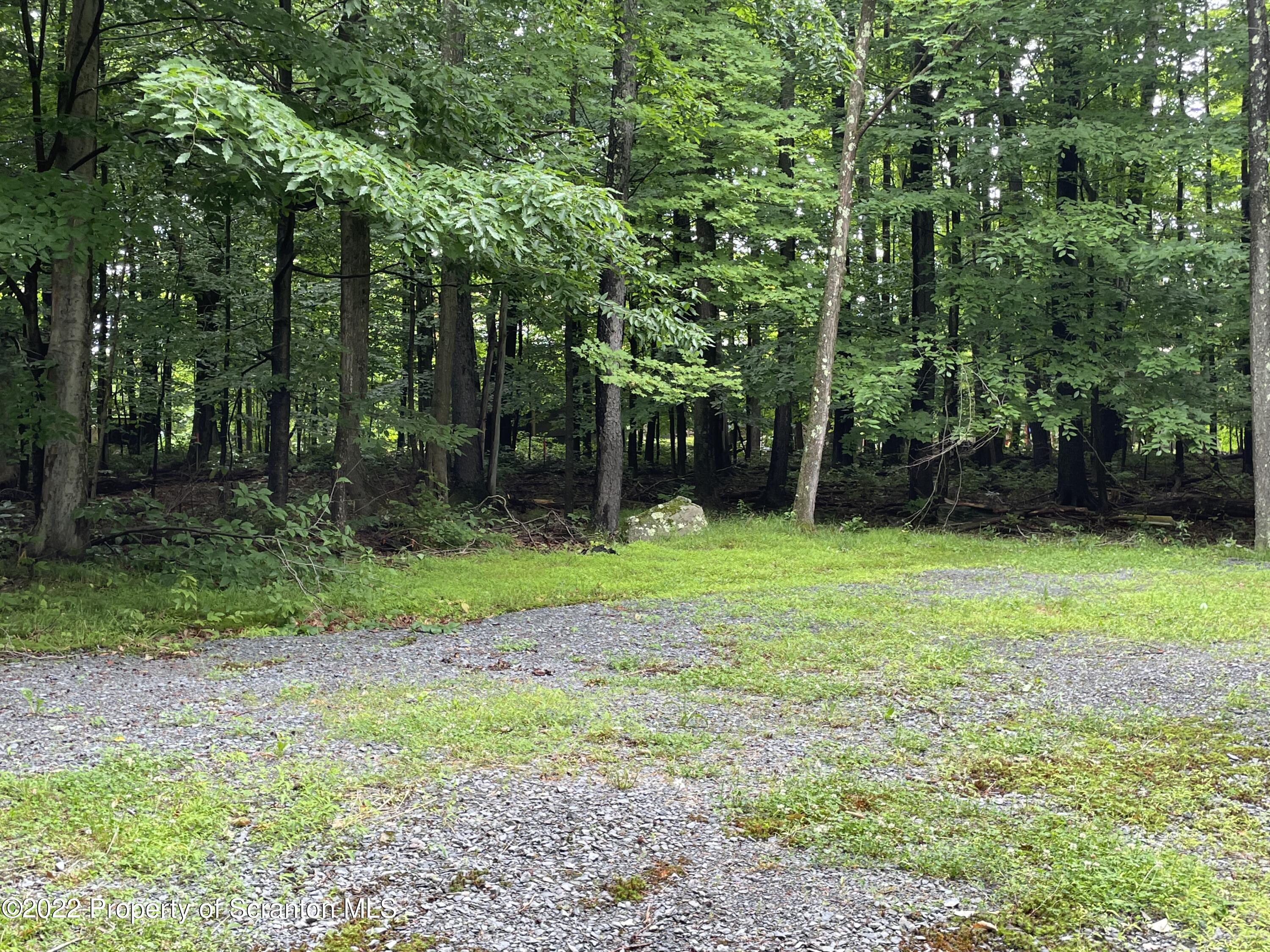 134 Ridgewood Circle, Unit 18436 Lake Ariel, PA 18436 - Photo 4 of 23 Yard