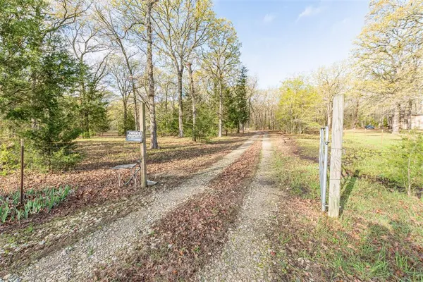 a view of a yard with trees on the side of the road