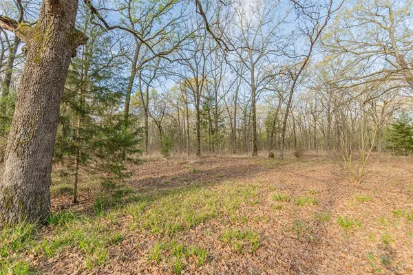 a view of a yard with trees