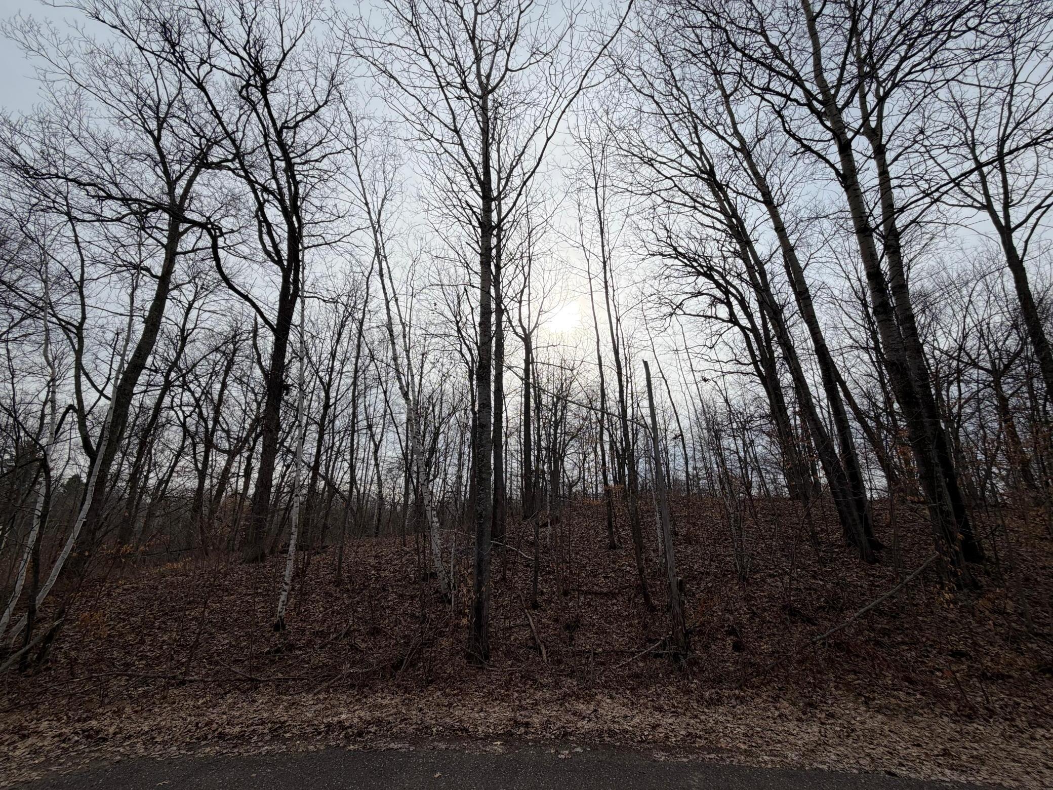 Tbd Tee Top Garrison, MN 56450 - Photo 3 of 14