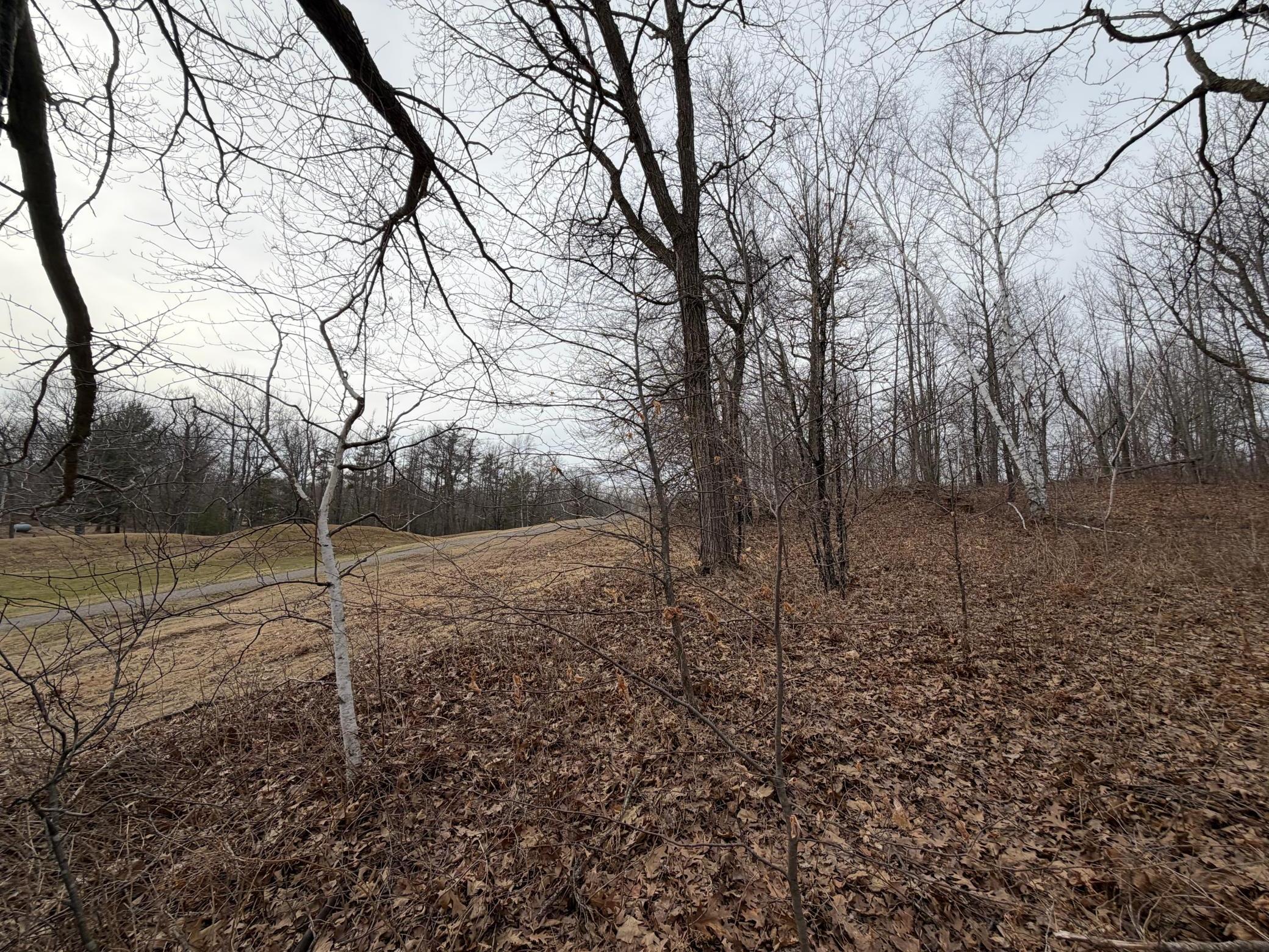 Tbd Tee Top Garrison, MN 56450 - Photo 4 of 14