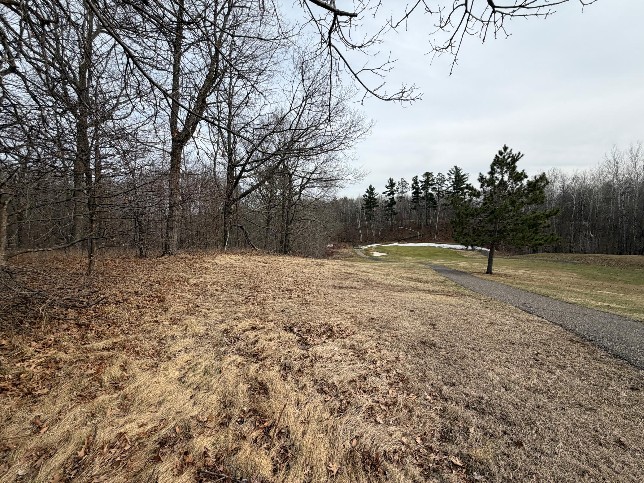 Tbd Tee Top Garrison, MN 56450 - Photo 5 of 14