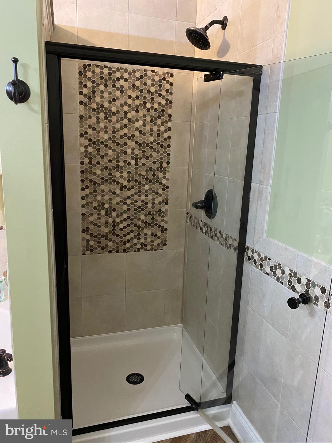 4029 Cutty Sark Road Baltimore, MD 21220 - Photo 19 of 31 Master bath