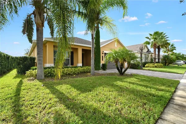 a front view of house with yard and green space