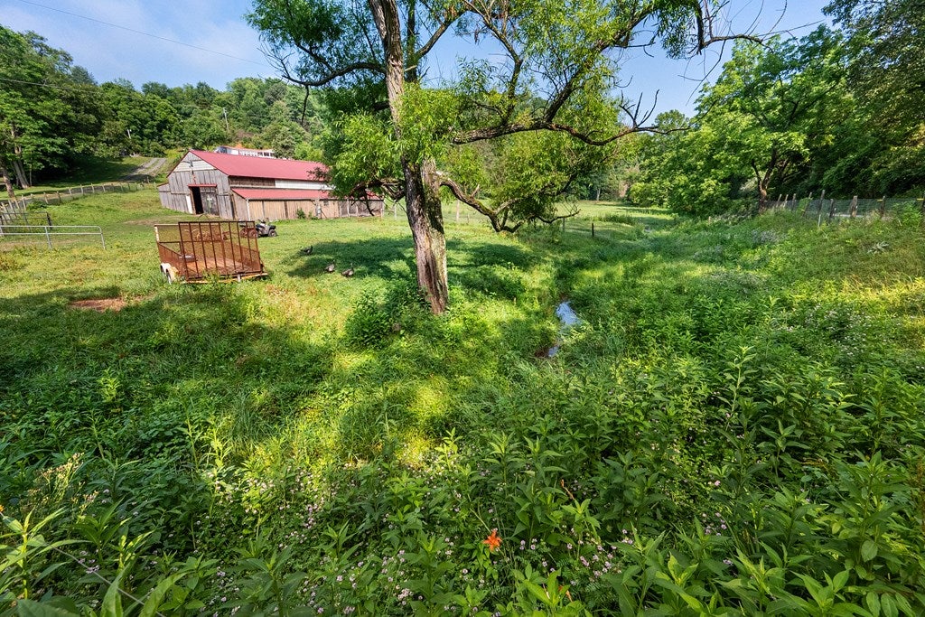 2109 Walton Furnace Road Max Meadows, VA 24360 - Photo 44 of 56 Gallery Image 44