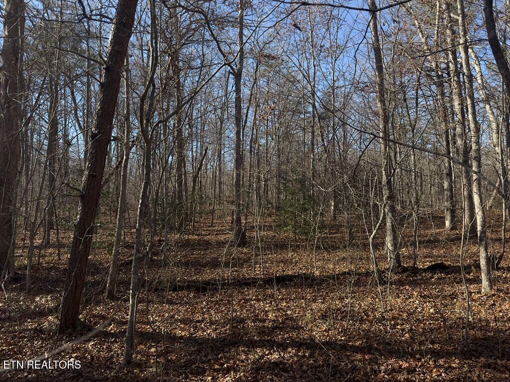 0 Ann Road Monterey, TN 38574 - Photo 4 of 6 241181_3