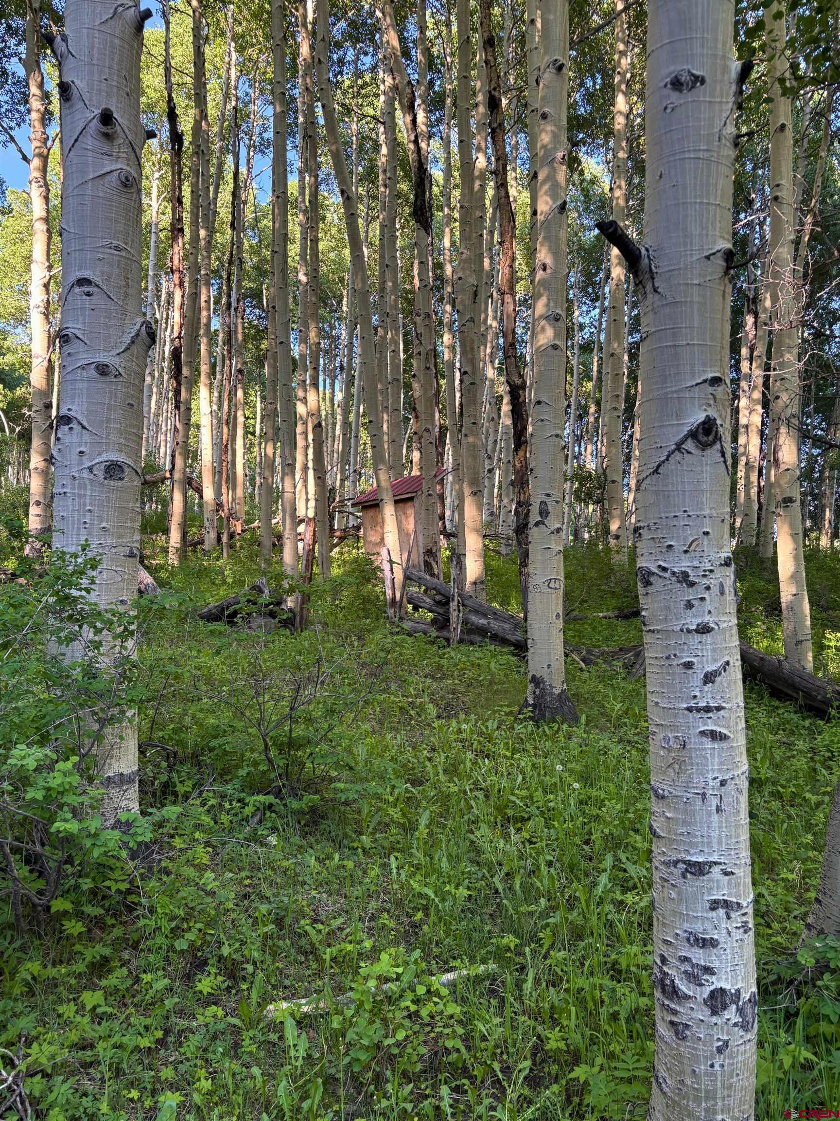 37081 Roatcap Road Paonia, CO 81428 - Photo 34 of 35