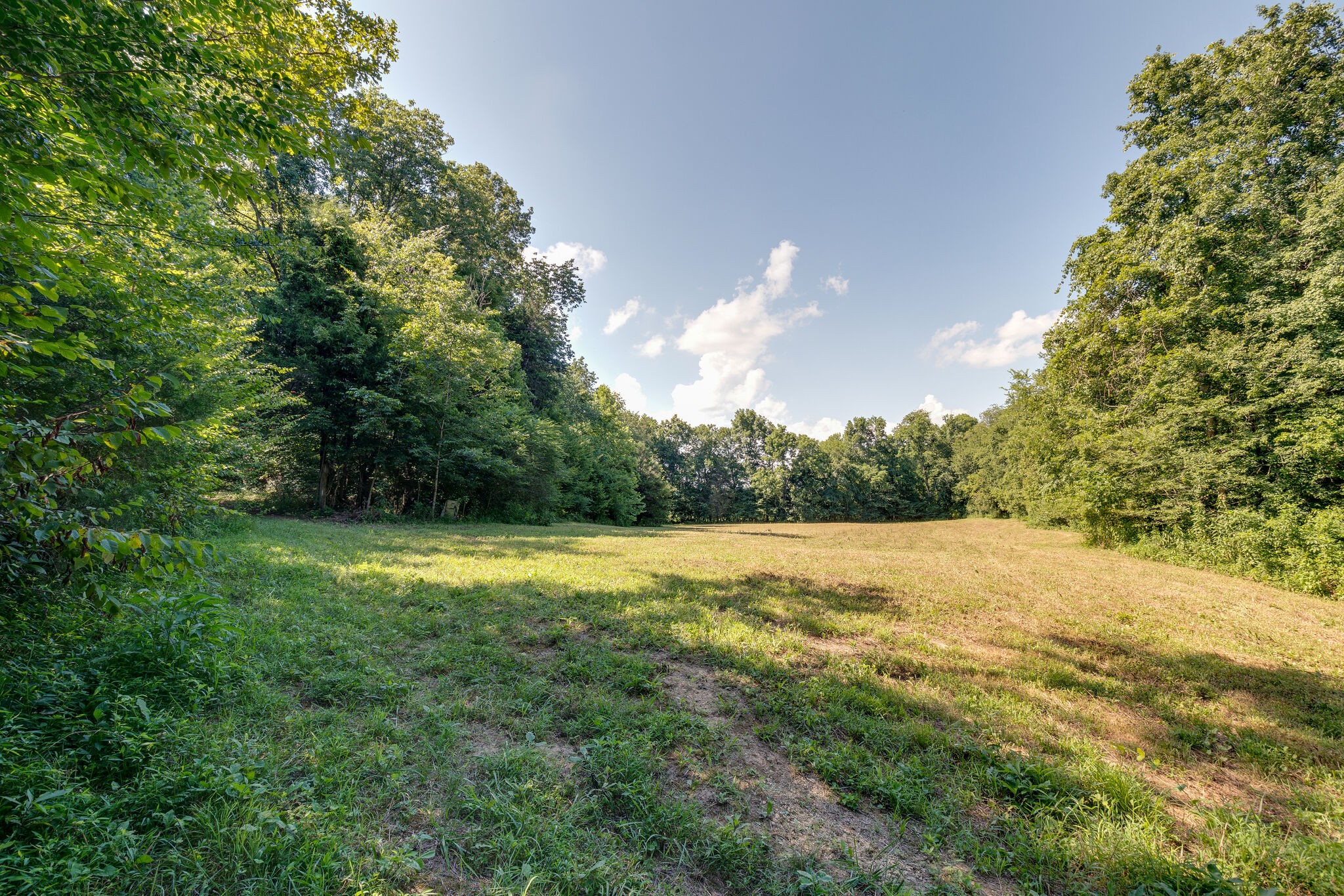 183 Salem Road Hohenwald, TN 38462 - Photo 38 of 40 Gallery Image 38