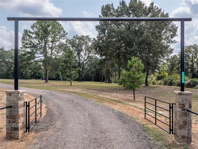 a view of a backyard and tree