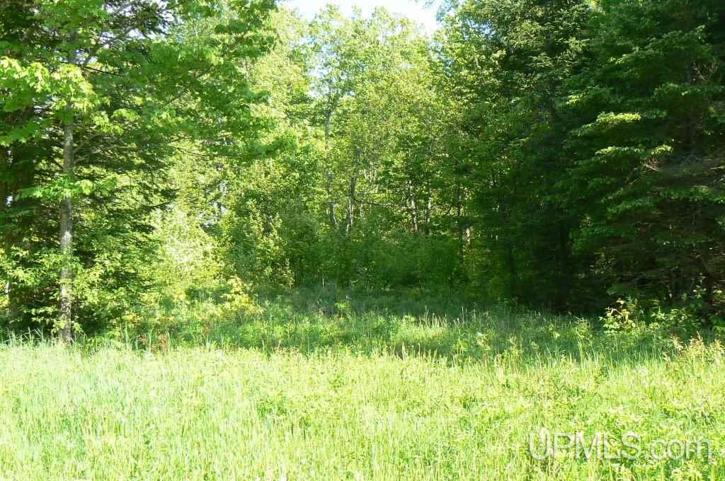 Tbd North Samuelson Road Chatham, MI 49816 - Photo 2 of 10