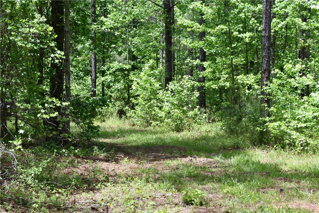 1 Wilson Road Temple, GA 30179 - Photo 58 of 88