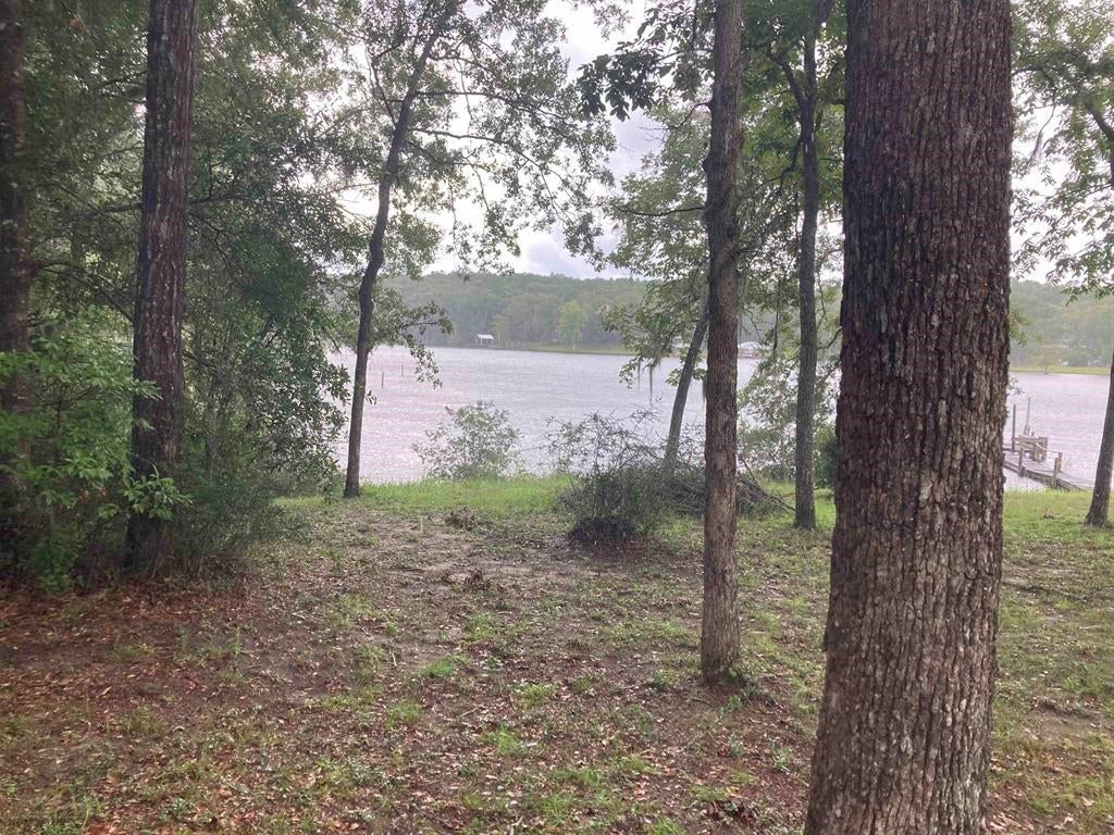 0 Indian Springs Loop Andalusia, AL 36421 - Photo 6 of 6 Gallery Image 6