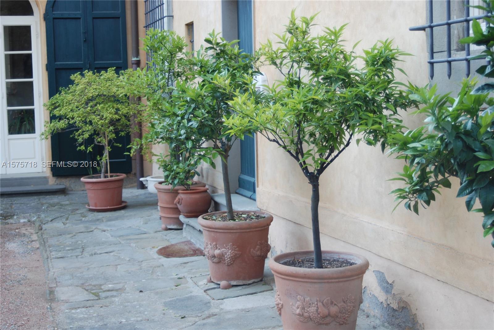 0 Unita Immobiliare In undefined, FL 0 - Photo 6 of 46 a view of a potted plants on a patio