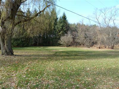 292 South Fremont Road Coldwater, MI 49036 - Photo 7 of 17 Additional Photo