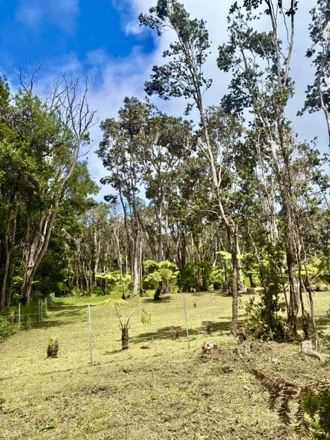 3 Haunani Road Volcano, HI 96785 - Photo 2 of 27 Gallery Image 2