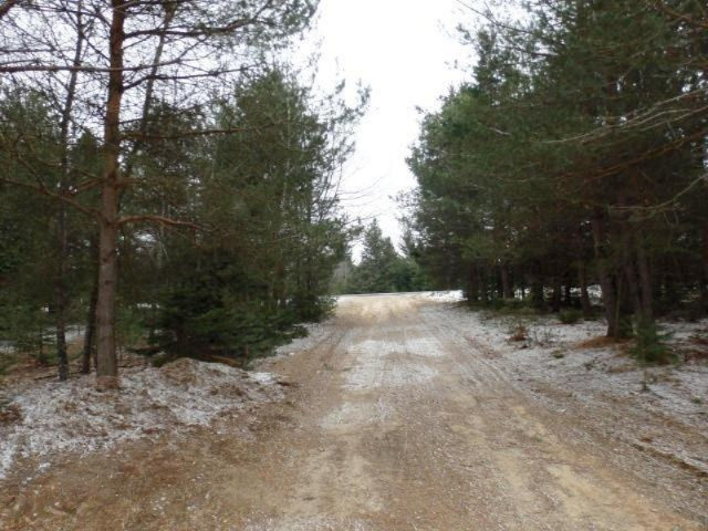 4281 East 28 Road Cadillac, MI 49601 - Photo 11 of 32 11