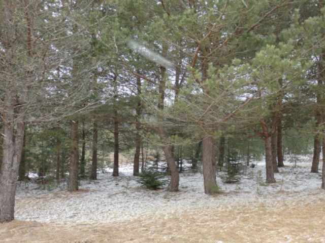 4281 East 28 Road Cadillac, MI 49601 - Photo 26 of 32 26
