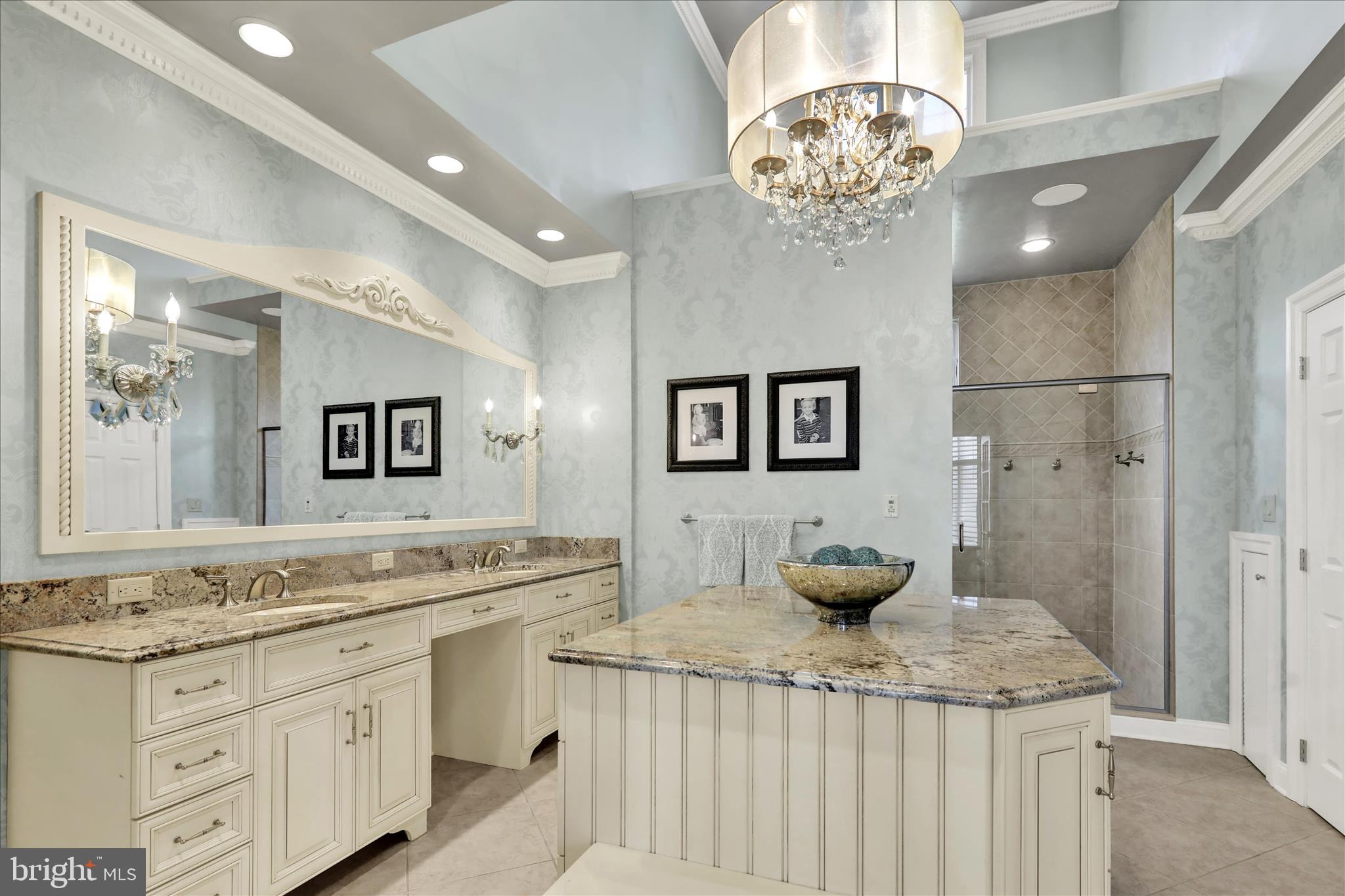 1000 Bluestone Drive Lititz, PA 17543 - Photo 35 of 132 a bathroom with a granite countertop sink a large mirror and a shower