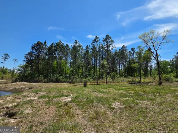 $80,000 | 0 Serenity Lane, Vidalia, GA 30474