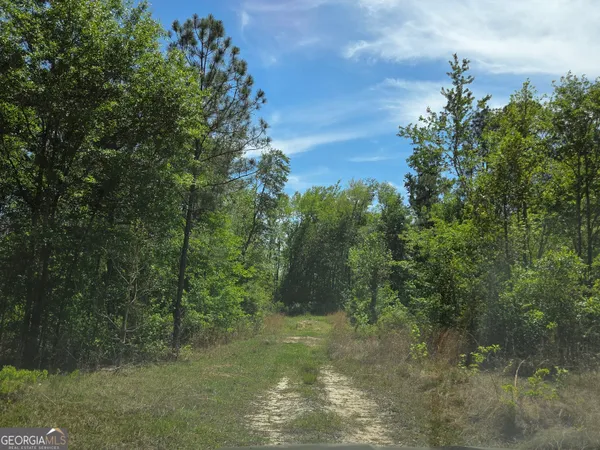 $80,000 | 0 Serenity Lane, Vidalia, GA 30474