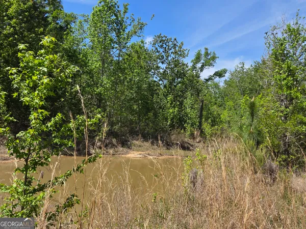 $80,000 | 0 Serenity Lane, Vidalia, GA 30474
