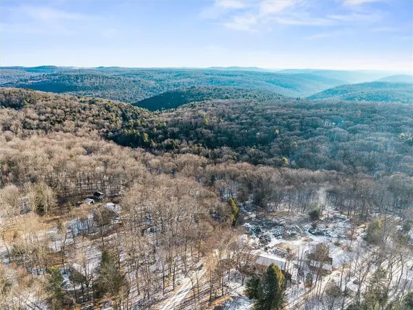 a view of a mountain with trees in the background